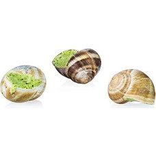 Helix Pomatia Vineyard Snails, 48 Pieces, 440 g, Francaise de Gastronomie, TK, 440 g