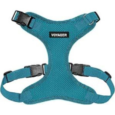 Best Pet Supplies Voyager Step-in Lock Pet Harness - All Weather Mesh Adjustable Step-in Harness for Cats and Dogs - Turquoise, S