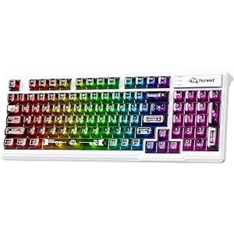 ZIYOU LANG ×FREEWOLF M95 skaidrios membranos klaviatūra, laidinė žaidimų klaviatūra su RGB apšvietimu, 96 tylūs klavišai su mechaniniu rašymo pojūčiu, 26 klavišų apsauga nuo vaiduoklių (juoda)