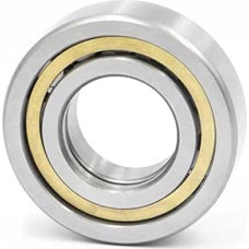 Cilindrinis ritininis guolis NUP218 NUP222 C3(NUP218W)
