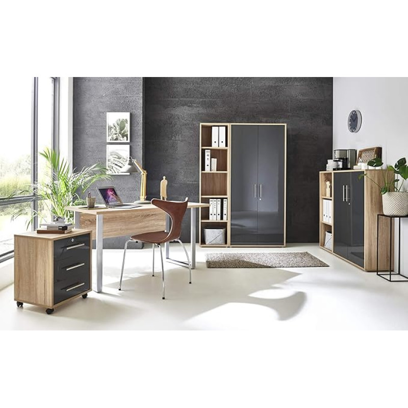 Office Furniture Complete Set Study Office Edition Mini in Sonoma Oak / Anthracite High Gloss (Set of 4)