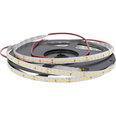 LED šviesos diodų juosta balta Eta: 160 šviesos diodų viename metre, 90RA, IP20, 24 V, 13 W/m, 8 mm pločio, 5 m ritinys (5000 K)