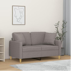 2 vietų sofa su dekoratyvine pagalvėle Sėdimoji kampinė svetainės sofa Šviesiai pilka 120 cm audinys