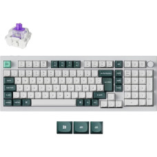 Keychron Q5 HE Wireless Custom Mechanical Keyboard, 96% DE-ISO Layout QMK/VIA Programmable Full Aluminium Bluetooth/Wired RGB Hot-Swapable Hall Effect Gateron Magnet (White)