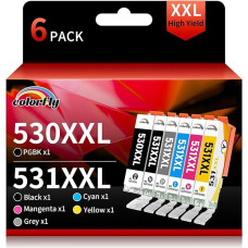 colorfly PGI-530XL PGI530 CLI-531XL spausdintuvo kasetės suderinamos su Canon PGI530 CLI531 530 531 530XL 531XL 531XL 530XXL 530XXL 531XXL kasetėmis, skirtomis Canon PIX MA TS8750 TS8751 (6 vnt.)