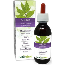 Real Meadowsweet (Filipendula ulmaria or Spirea ulmaria) Flowers Alcohol-Free Mother Tincture Naturalma - Liquid Extract Drops 120 ml - Dietary Supplement - Vegan