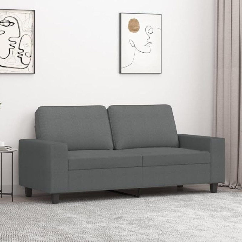 ShGaxin 359392 2-Seater Sofa Dark Grey 140 cm Fabric, Lounge Sofa, Sofas & Couches, Relax Sofa, Couch for Living Room
