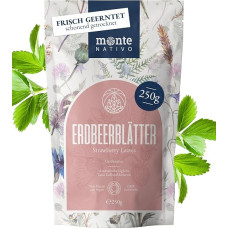 Monte Nativo Strawberry Leaf Herbal Tea, Dried Strawberry Leaves, Strawberry Tea, Aromatic, Pure and Natural Loose Leaf Tea with No Additives, Refreshing and Healthy Infusion, 250 g