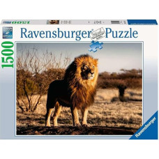 Ravensburger Puzzle 17107 The Lion The King of the Animals 1500 Pieces