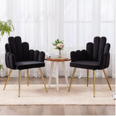 Valgomojo kambario kėdės 2 aksomo minkštų kėdžių rinkinys su atlošu Shell fotelis Virtuvės minkšta akcento kėdė Virtuvės kėdės su metalinėmis kojomis miegamajam/gyvenamajam kambariui Juoda