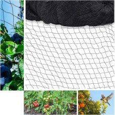 15 m x 15 m Bird Protection Net, Bird Net, Black, Tear-Resistant Plant Net for Chicken Enclosures, Aviary Net for Protects Fruit Trees and Vegetables from Bird Eating (Mesh Width 5 x 5 cm,