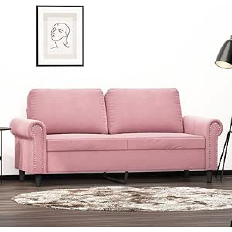 Dvivietė sofa Dvigulė sofa Sofa Lounge Sofa Minkšta sofa Atsipalaiduoti sofa Svečių sofa Loveseat Sofa svetainei Miegamojo kambarys Svečių kambarys Rožinė 140 cm Velvetas
