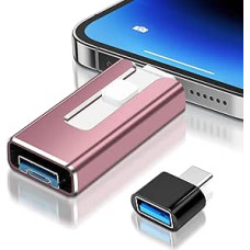 USB atmintinė 256 GB 