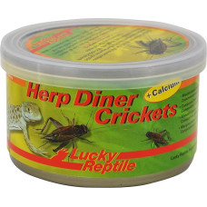 Lucky Reptile HDC-11 Herp Diner Crickets su kalciu