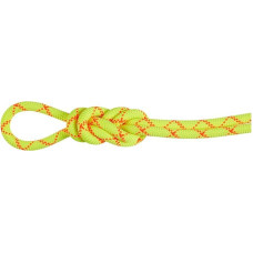 Mammut 9.5 Alpine Core Protect sausa virvė 50 m