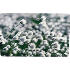 Dekoset Tischset Platzdeckchen Platzset Cottongras waschbar 40 x 30 cm, Set Größe:2 er Set