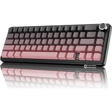 MAMBASNAKE X Attack Shark X66 65% belaidė mechaninė žaidimų klaviatūra su mygtukais, 