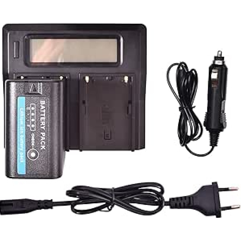 DSTE® atsarginė baterija BP-U60 + LCD dvigubas įkroviklis, suderinama su 