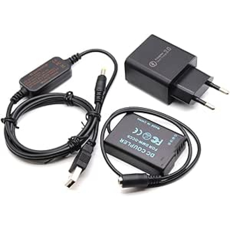 Raeisusp DMW-DCC9 DMW-BLD10 manekeninė baterija + USB kabelis, skirtas 