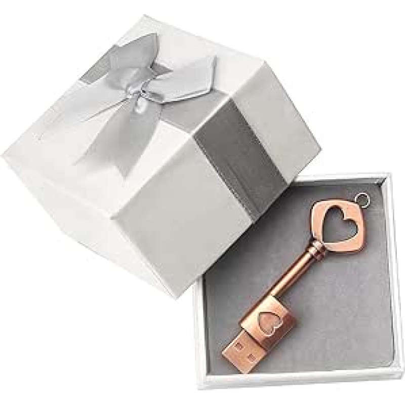 leizhan 64 GB metalinis USB 2.0 