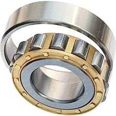 Bimetalinio sandariklio skydas Micro Deep Groove guolis 1vnt cilindrinis ritininis guolis N315 316 317 318 319 320 321 322 324 326 328EM