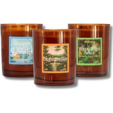 Verwunschene Welten Scented Candles Set of 3 - Cinnamon & Vanilla, Bergamot & Peach & Vanilla, Orange & Pear - 45 Hours Burn Time Per Candle - Handmade & Vegan - Gift Set for Winter & Home