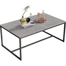 FATIVO kavos staliukas Modern Grey Metal Frame: Stačiakampio formos skandinaviškas kavos staliukas Svetainės staliukas Šalutinis staliukas svetainei 100 x 60 x 42 cm