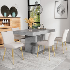 RanRan Velvet Dining Chair Luxury Living Room Bedroom Lounge Chair with Four Golden Metal Support Legs Lumbar Support (Set of 2, Beige+Gold)