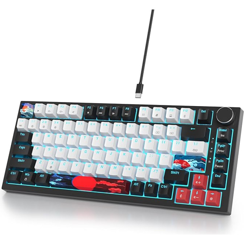 SOLIDEE laidinė mechaninė žaidimų klaviatūra 75%, karšto keitimo mechaninės klaviatūros tarpinės konstrukcija, RGB apšvietimas, QWERTY 82 klavišų TKL žaidimų klaviatūra su sukamąja rankenėle (82 Black_White)