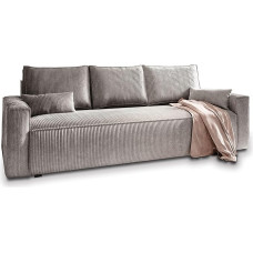 Masseno MENI POSO 55 Sofa su miego funkcija, sofa su lovos dėže, svetainės sofa, sofa, sofa, sofa lova, sofos komplektas, šviesiai pilka,