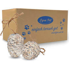 Lyra Pet Pack of 4 Giant Cones | Pine Cones Filled with Fat Food | Nutritious Bird Food in Summer & Winter | Valuable Energy Supplier for Wild Birds | Fat & Biodegradable