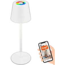BRILONER - LED stalinis šviestuvas, išmanusis belaidis su programėlės valdymu, nuolatinio ryškumo, RGB+W, naktinis šviestuvas, skaitymo šviestuvas, stovyklavietės šviestuvas, LED stalinis šviestuvas, akumuliatorinis šviestuvas, lauko šviestuvas, 10,5 x 36