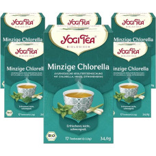 YOGI TEA, Mint Chlorella, Ayurvedic Organic Herbal Tea, Blend of Chlorella, Mint and Lemongrass, Yogi Tea Pack of 6, 6 x 17 Bags (102 Tea Bags Total), Ideal as a Gift