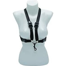 BG Prancūzija S41SH