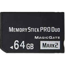 SHEAWA 64 GB didelės spartos 