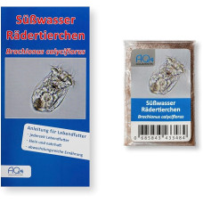 Live Food - Freshwater Roderanimals - Brachionus calyciflorus (Breeding Approach, Rotatoria Eggs) - Smallest Live Food for Young Fish