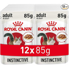 Royal Canin Adult Instinctive Gravy drėgnas maišelis 12 x 85g