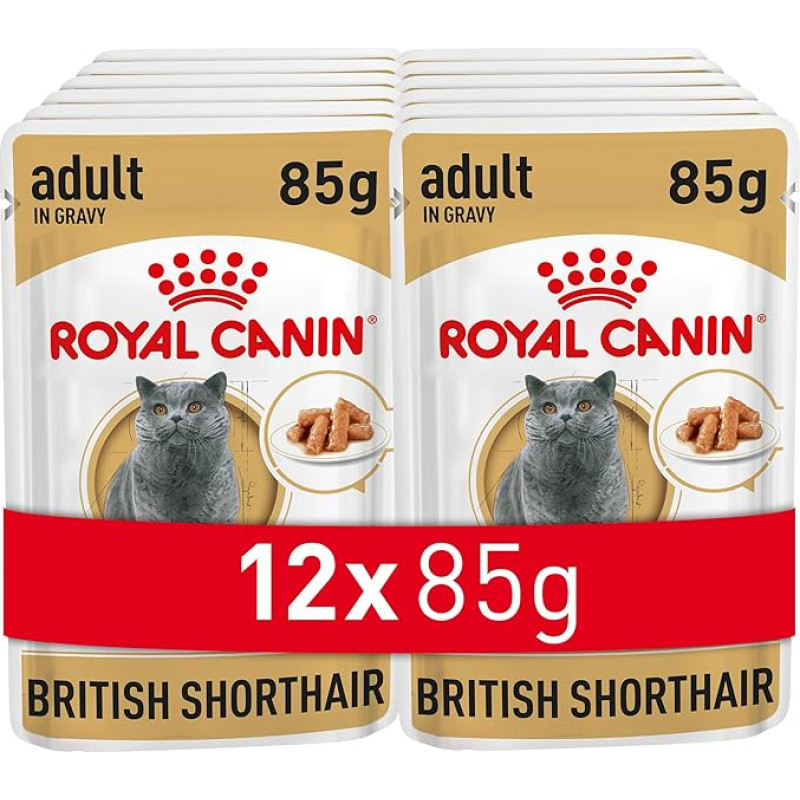 Royal Canin 9003579001240 Britų trumpaplaukių kačių maistas, 85 g