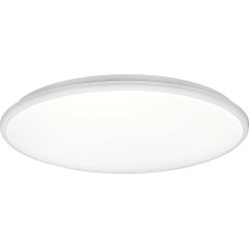 Reality Leuchten Limbus R67021931 LED lubų šviestuvas su 34 vatų LED jungikliu ir reguliatoriumi Matinė balta
