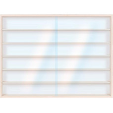 Alsino V-13 Display Cabinet Collector's Display Case 100 cm x 58 cm x 8.5 cm Birch Mutliplex Natural Display Case for Figures, Stones, Models, Thimbles