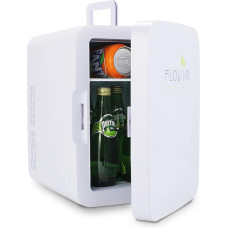 Mini Fridge 10 L / 11 Can, Table Fridge Small Cool Box with Cooling and Warming Function, AC 220 V House/DC 12 V Car, Quiet for Car, Office, Bedroom, Garden, Picnic, Travel, Tent Site