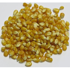 1 kg Popcorn Corn Part Mushroom Part Butterfly Extra Large