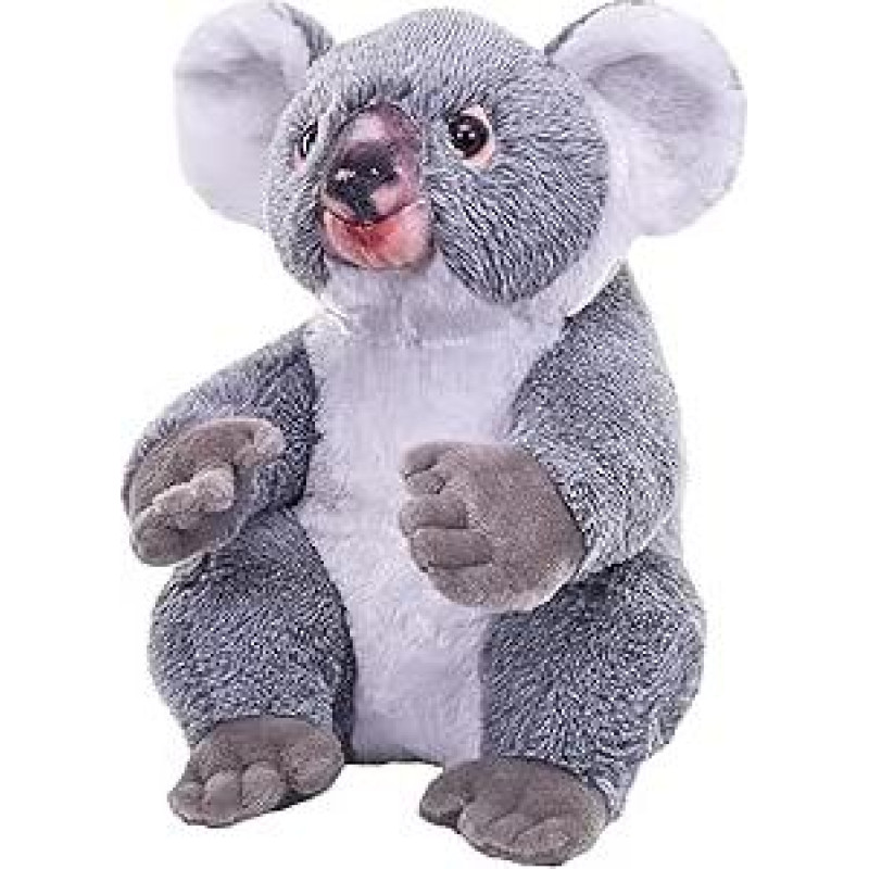 Wild Republic Artist Collection Koala Dovana vaikams 38 cm pliušinis žaislas, pagamintas iš perdirbtų vandens butelių 15