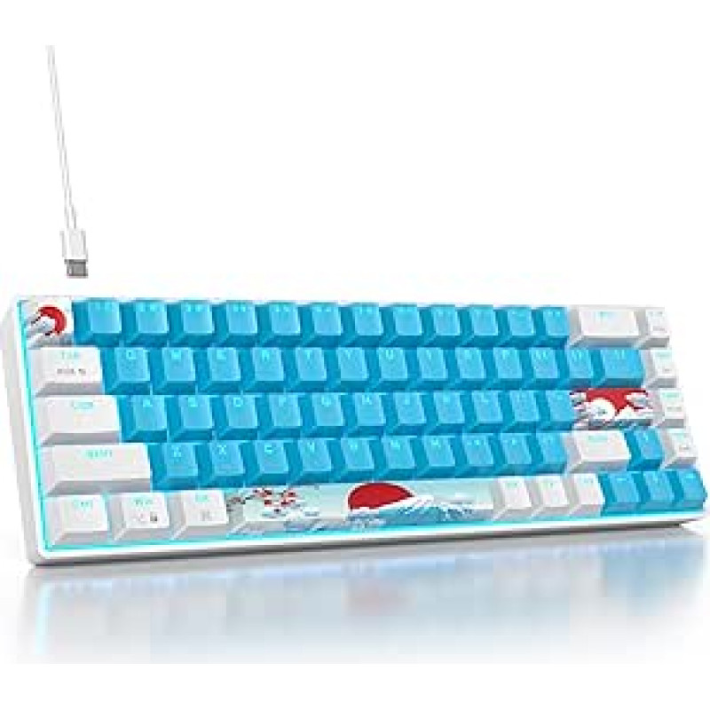 SOLIDEE mechaninė žaidimų klaviatūra, 65 proc., 68 klavišai, kompaktiška mechaninė klaviatūra, RGB apšvietimas, 65 proc. mechaninė QWERTY klaviatūra, raudonas jungiklis, skirta Win/Mac, PC, nešiojamiesiems kompiuteriams (68 mėlyna)