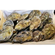 Šviežios airiškos austrės Pakuotė 25 austrių iš Airijos Šviežios 2 tuzinai austrių Oysri