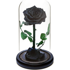 INTIGNIS Amžinoji rožė amžinai, šviežių rožių dovana, saugoma 5 metus, rankų darbo, dovanos moterims, gimtadienio proga, unikalios, neįprastos | Motinos diena, jubiliejus, Kalėdos, Valentino diena