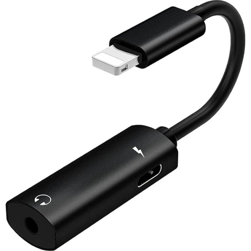 Ausinių adapteris 