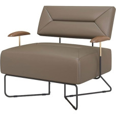 Sofos ir kušetės Šiuolaikinė retro svetainės sofa Viengubas riešutmedžio audinio viešbučio priekinis stalas Paprasta laisvalaikio kėdė Dvigulė sofa 30 colių pločio gyvenamojo kambario kampinis krėslas Miegamojo salonas Biuras (spalva : 1) (E)