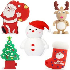 LEIZHAN USB atmintinė, 5 vnt., 32 GB atminties kortelių su mielomis Kalėdų serijos dovanomis studentams ir vaikams