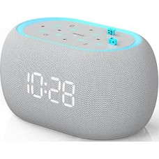 ANJANK Skaitmeninis radijo žadintuvas su 